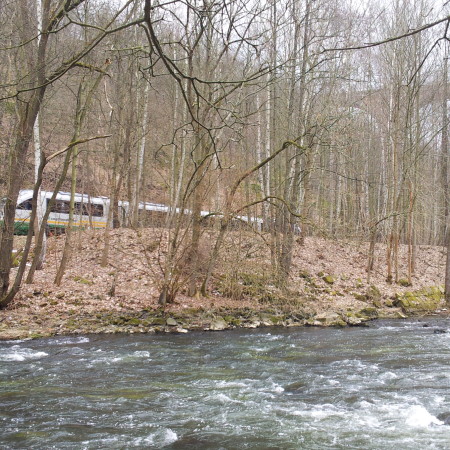 Die Vogtlandbahn im Elstertal ....
