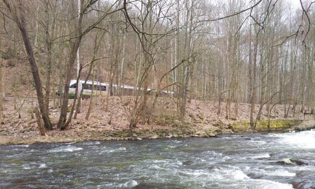 Die Vogtlandbahn im Elstertal ....