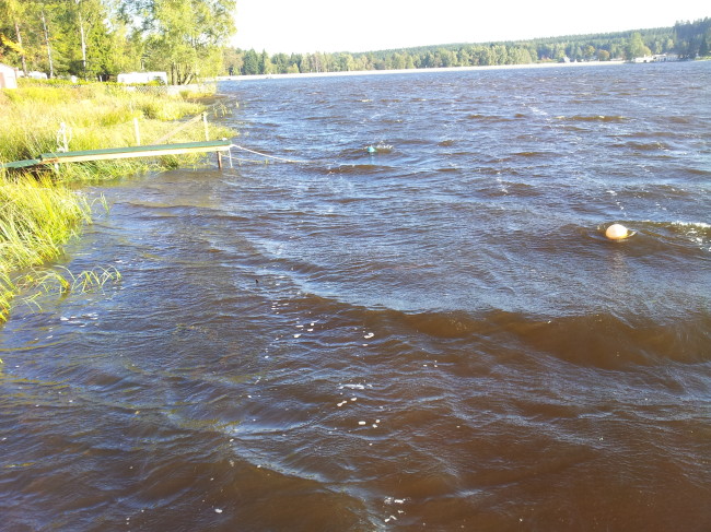Am Geyrischen Teich im Herbst