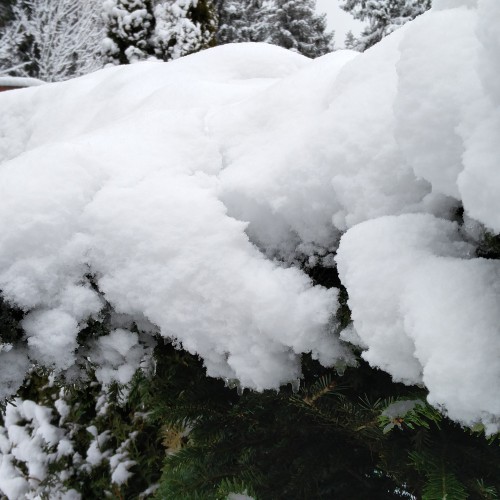 Wintermärchen am Greifenbachstauweiher im Erzgebirge
