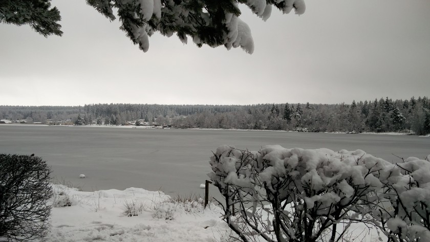 Wintermärchen am Greifenbachstauweiher im Erzgebirge