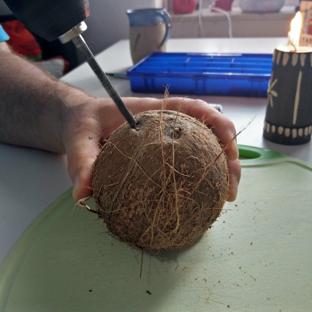 Kokusnuss Weihnachten 2017