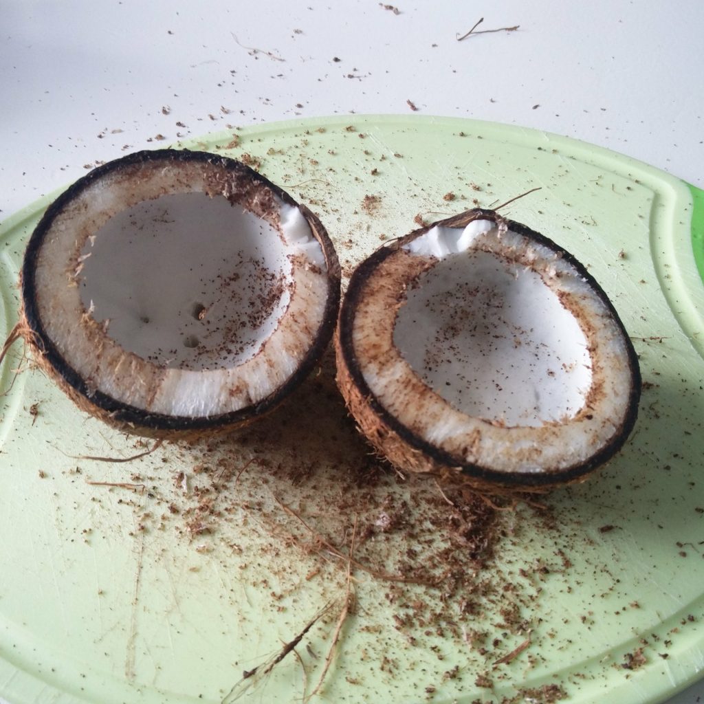 Kokusnuss Weihnachten 2017
