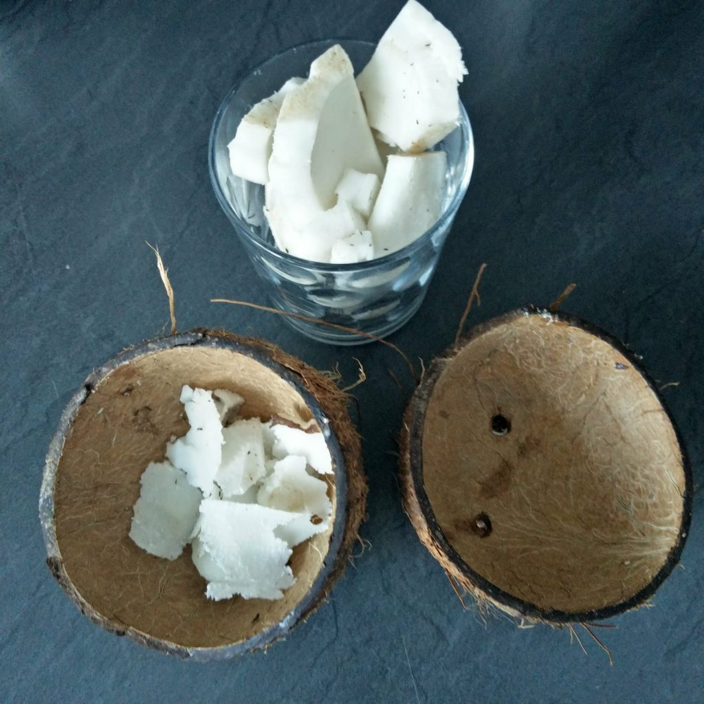 Kokusnuss Weihnachten 2017