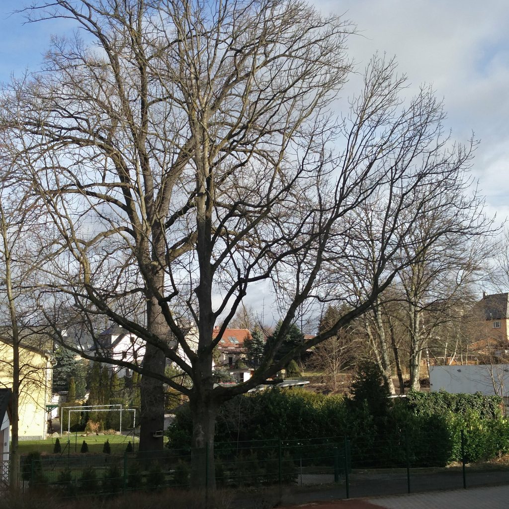 Frühling oder Winter?