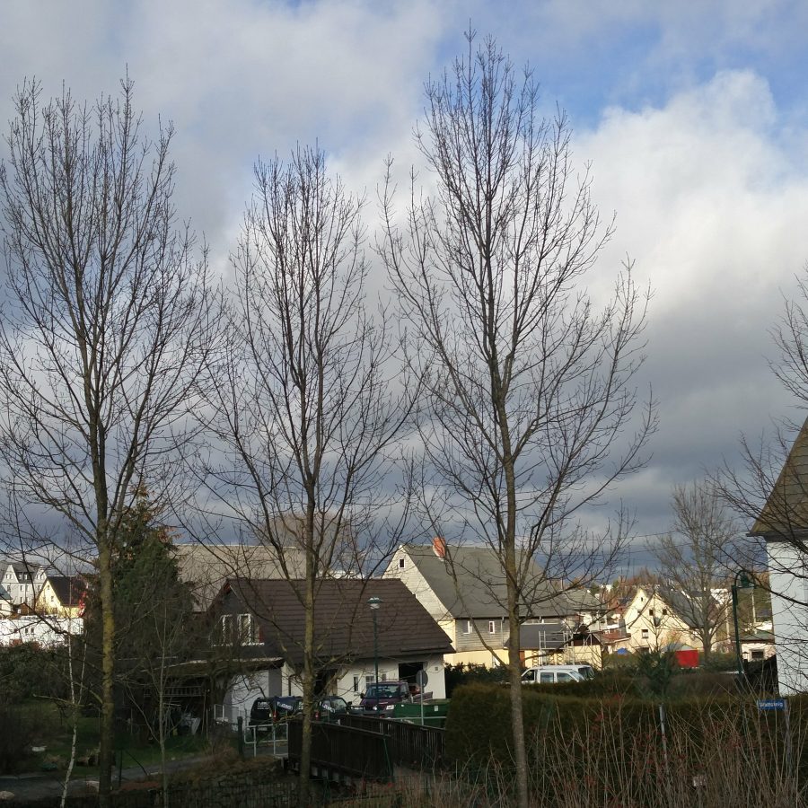 Frühling oder Winter?