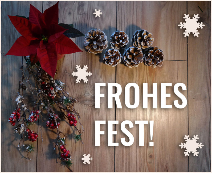 Bild für ein Frohes Fest mit Weihnachtsstern, Zapfen und Zweigen