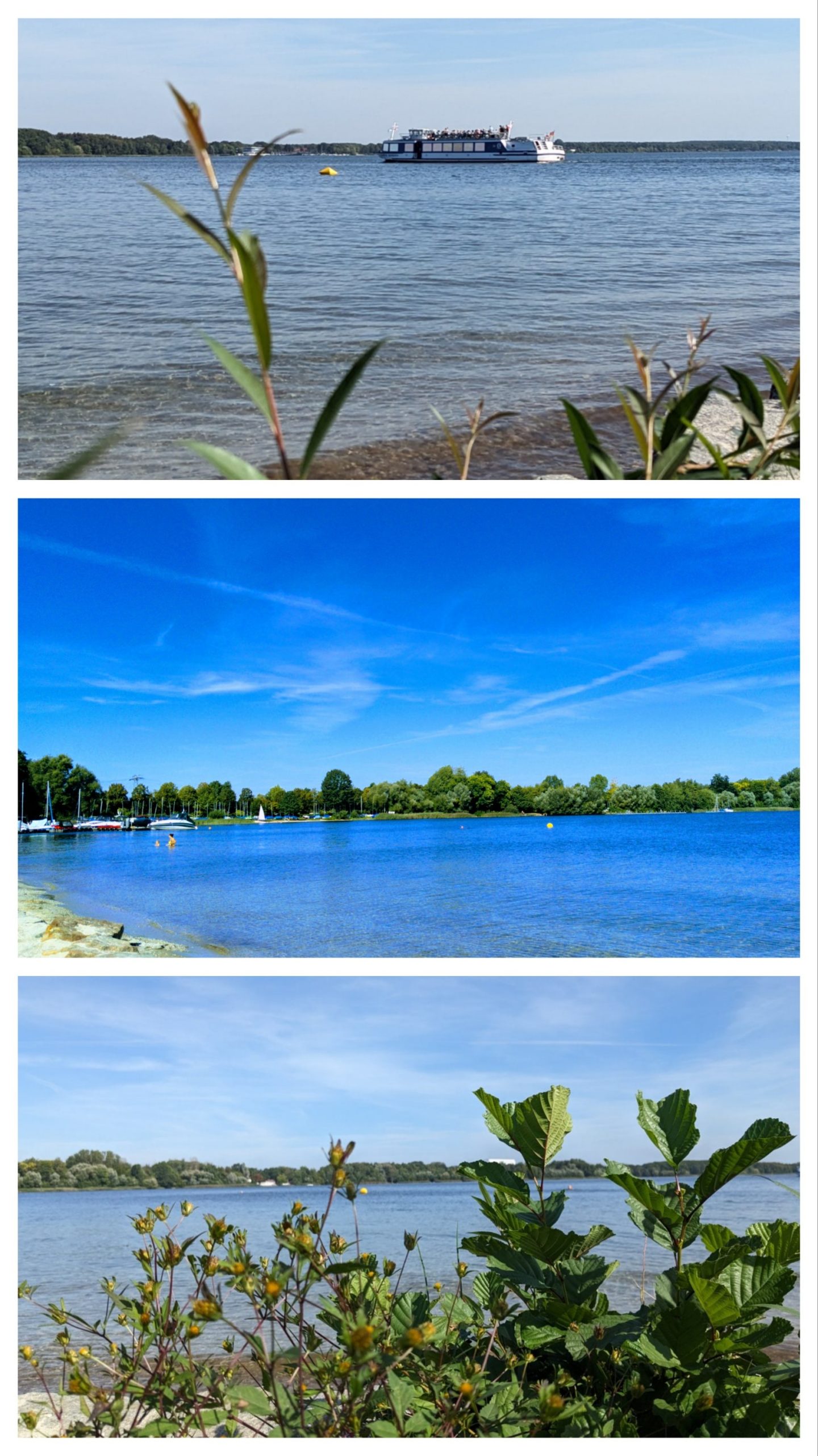 Senftenberger See 2023