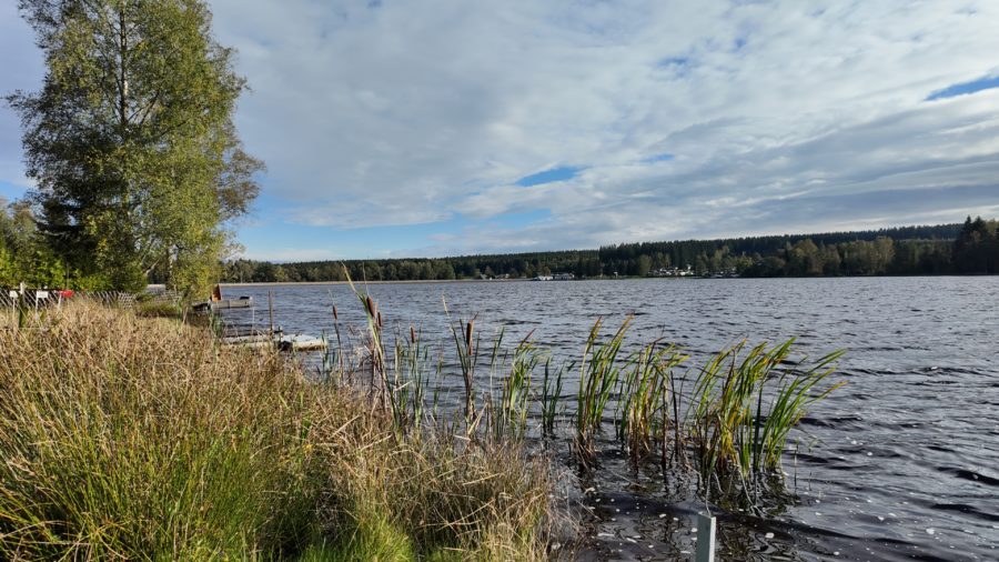 Am Greifenbachstauweiher im Erzgebirge